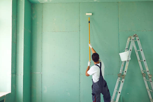 Best Emergency Mold Remediation  in Immokalee, FL