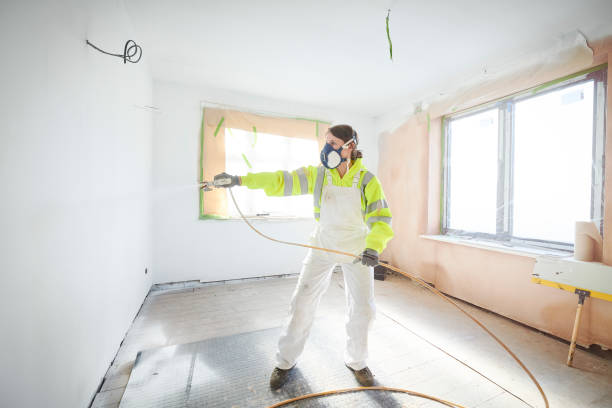Best Mold Remediation for Vacation Homes  in Immokalee, FL