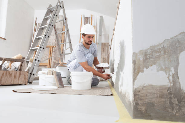 Best Mold Damage Restoration  in Immokalee, FL