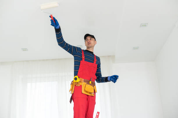 Immokalee, FL Mold Removal Company