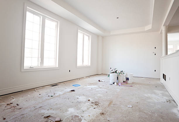 Best Basement Mold Removal  in Immokalee, FL