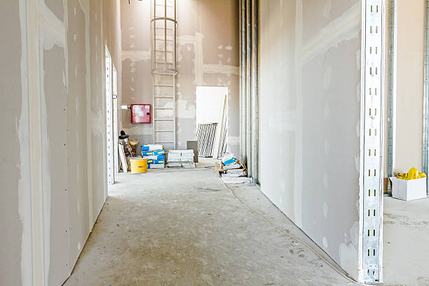Best Residential Mold Inspection & Testing  in Immokalee, FL