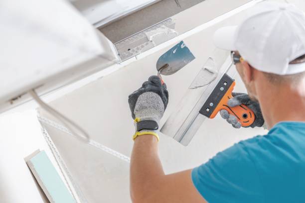 Best Airborne Mold Testing  in Immokalee, FL